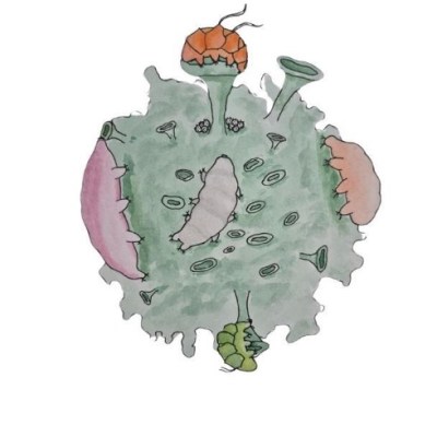 Tiny giants of the city: Can tardigrades tell us about&nbsp;pollution?