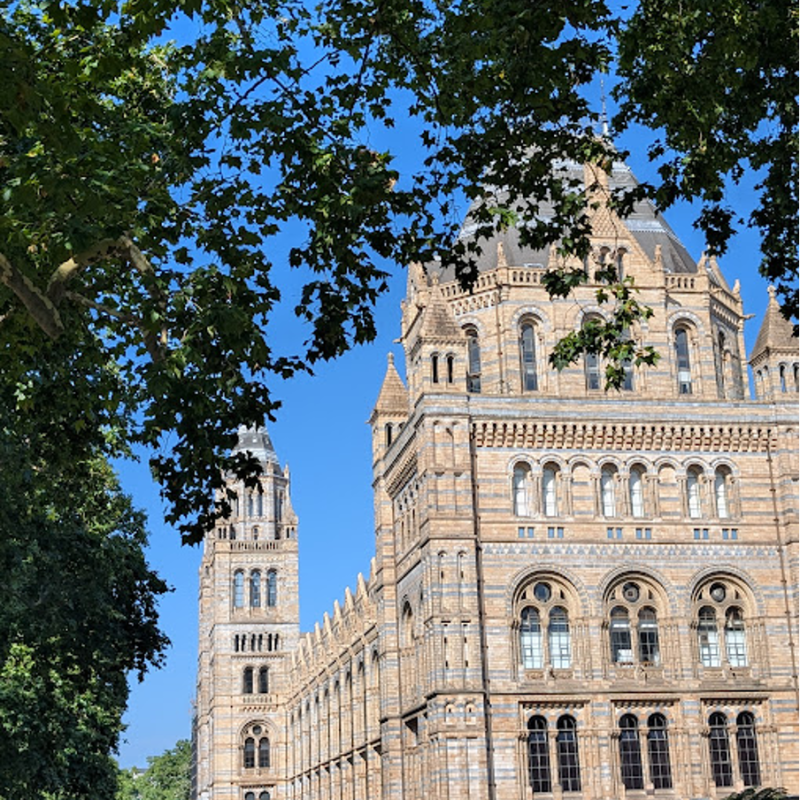 Blog: Placement at The Natural History Museum in&nbsp;London