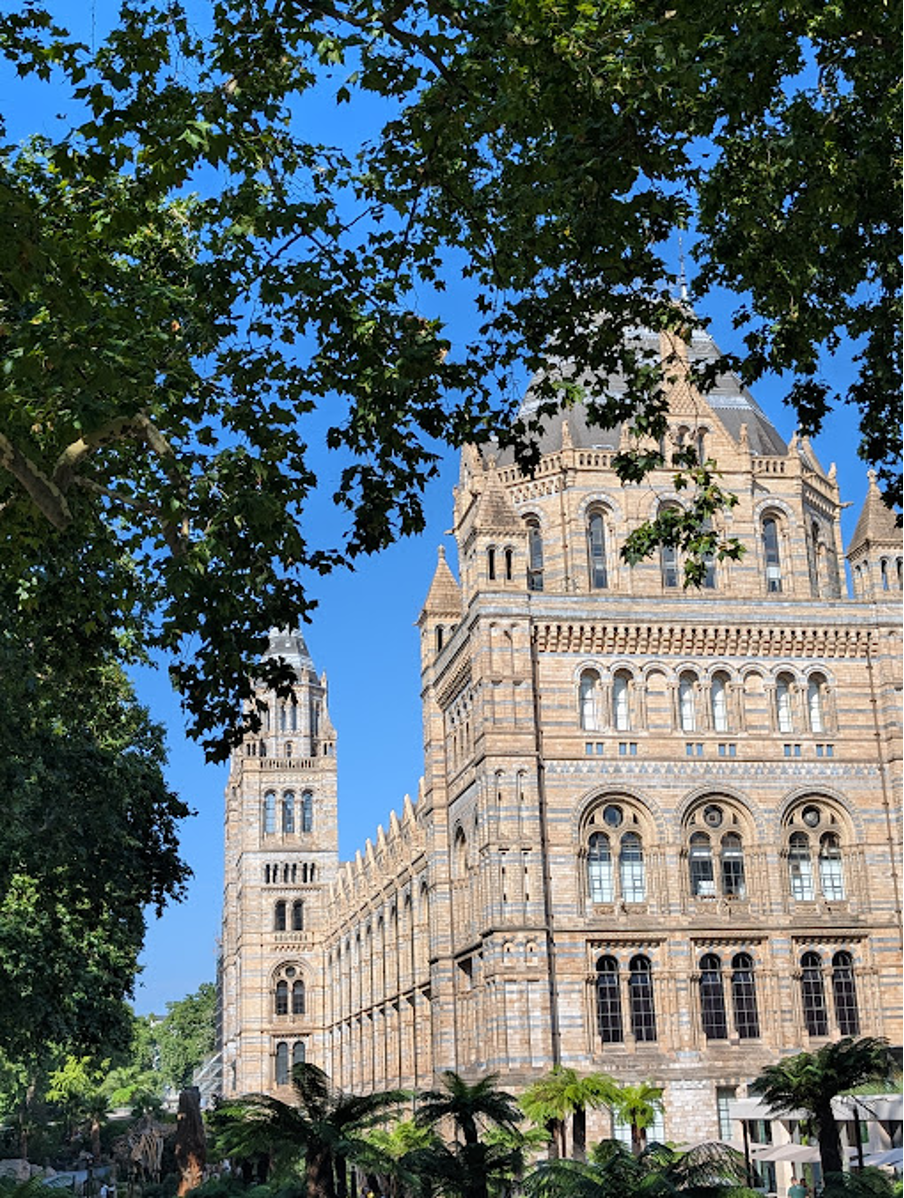 Blog: Placement at The Natural History Museum in&nbsp;London